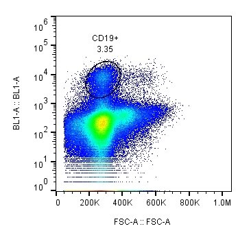 Human CD19 Fluorescein‑conjugated Antibody FAB4867F