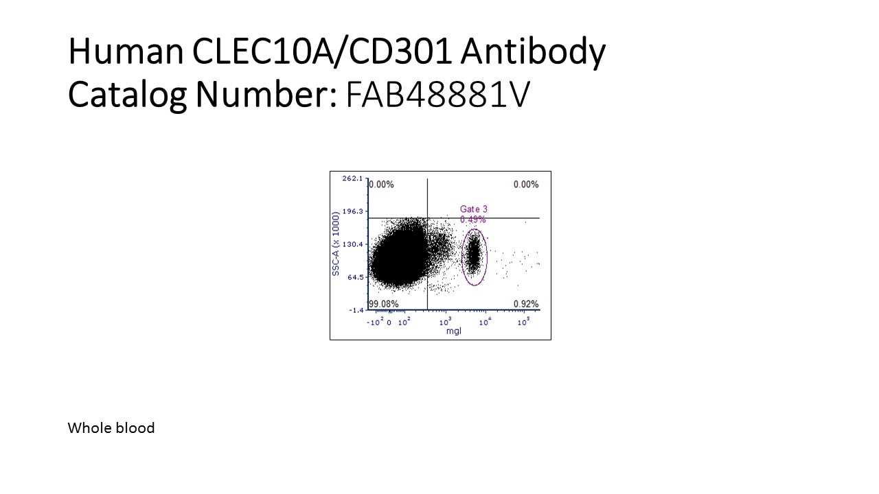 Human CLEC10A/CD301 Alexa Fluor® 405-conjugated Antibody FAB48881V