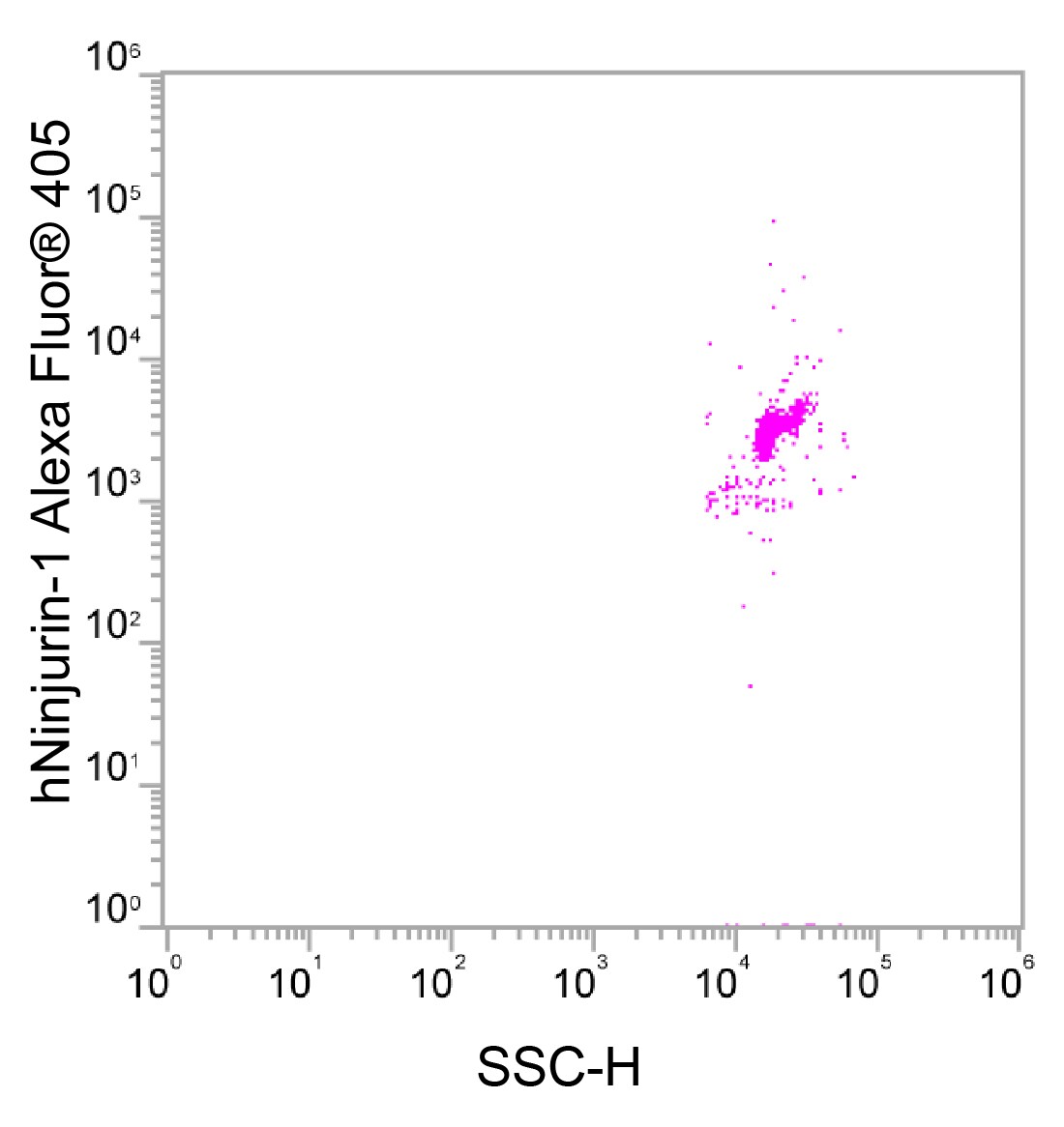 Human Ninjurin-1 Alexa Fluor® 405-conjugated Antibody FAB51051V