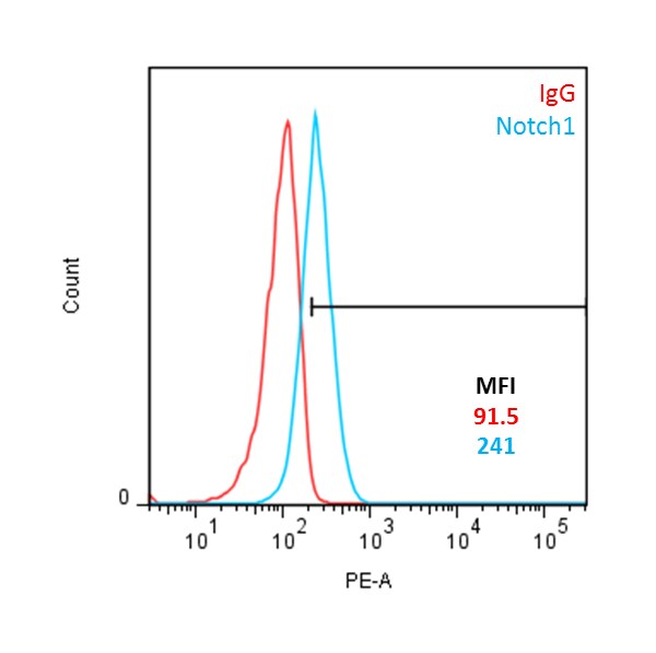 Human Notch‑1 PE‑conjugated Antibody FAB5317P