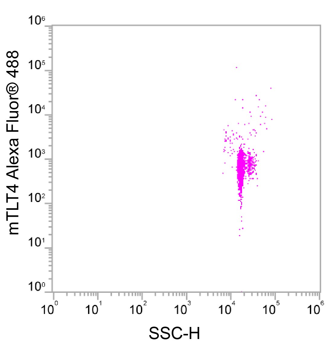 Mouse TREML4/TLT-4 Alexa Fluor® 488-conjugated Antibody FAB5500G