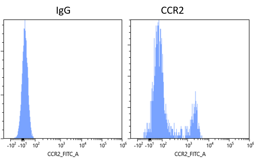 Mouse CCR2 Fluorescein‑conjugated Antibody FAB5538F