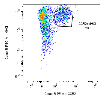 Mouse CCR2 PE‑conjugated Antibody FAB5538P