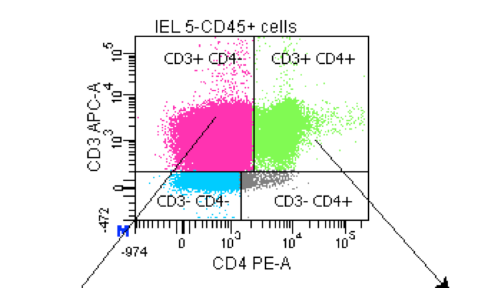 Mouse CD4 PE‑conjugated Antibody FAB554P