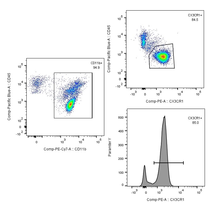 Mouse CX3CR1 PE‑conjugated Antibody FAB5825P