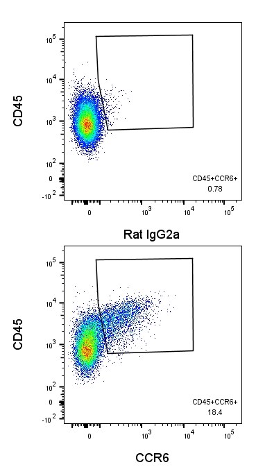 Human/Mouse CCR6 Alexa Fluor® 488‑conjugated Antibody FAB590G