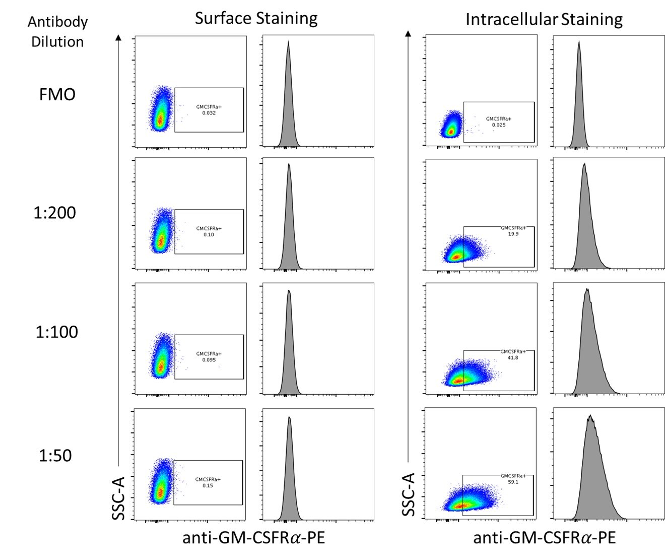 Mouse GM‑CSF R alpha  PE‑conjugated Antibody FAB6130P
