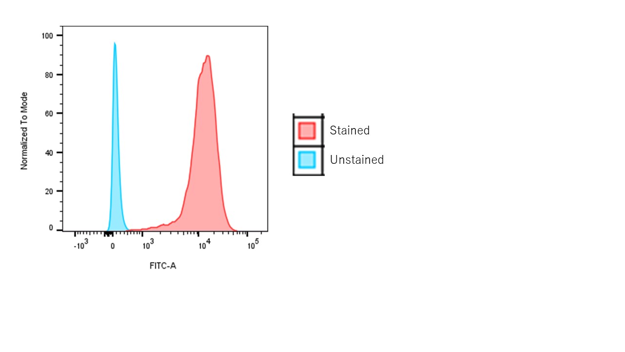 Human MS4A3 Alexa Fluor® 488-conjugated Antibody FAB6247G