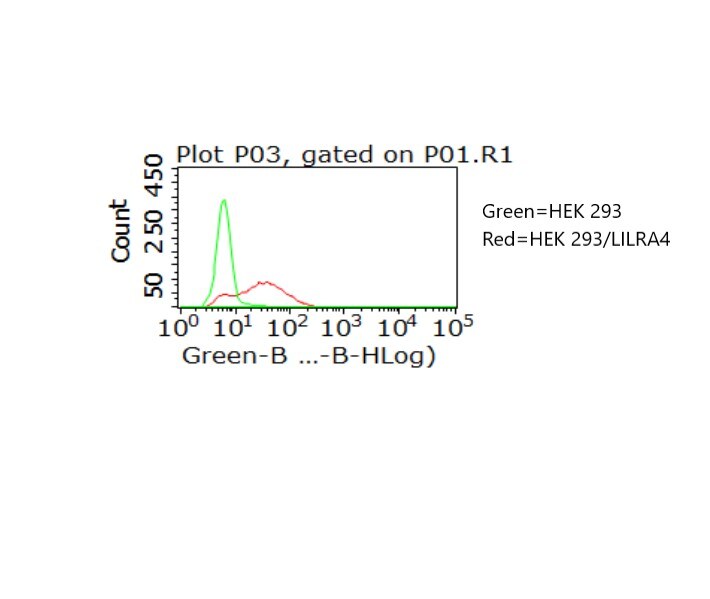 Human LILRA4/CD85g/ILT7 Alexa Fluor® 488-conjugated Antibody FAB6287G
