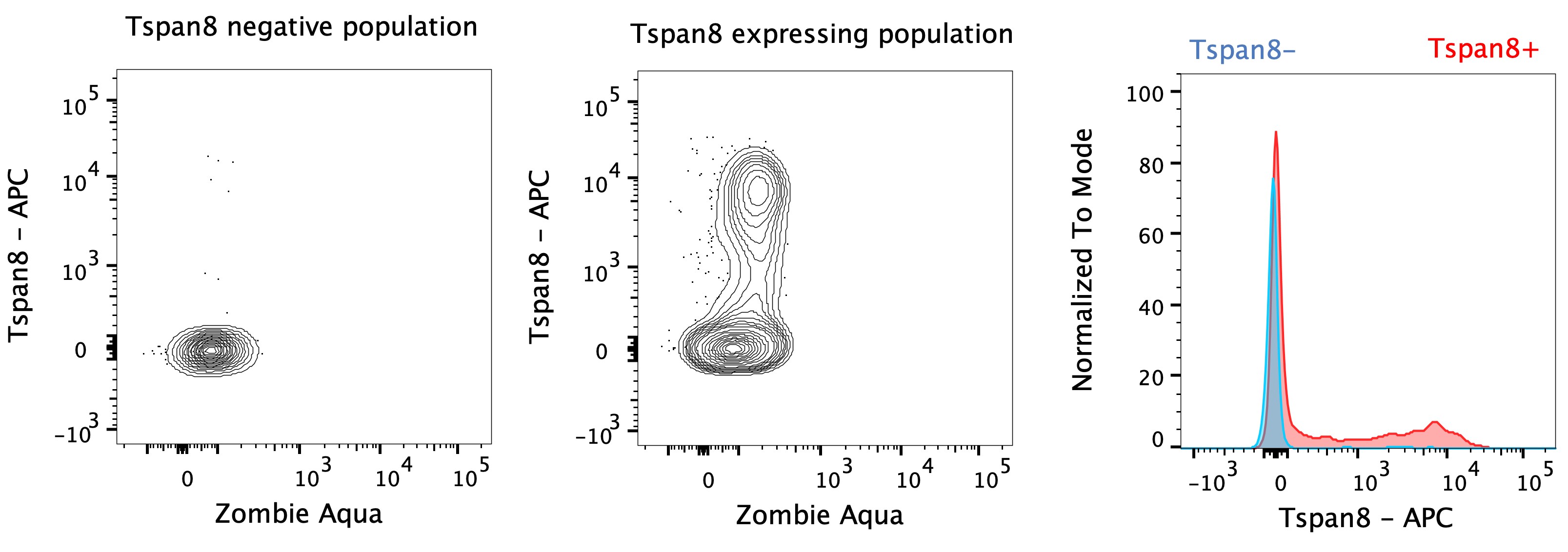 Mouse TSPAN8 APC‑conjugated Antibody FAB6524A