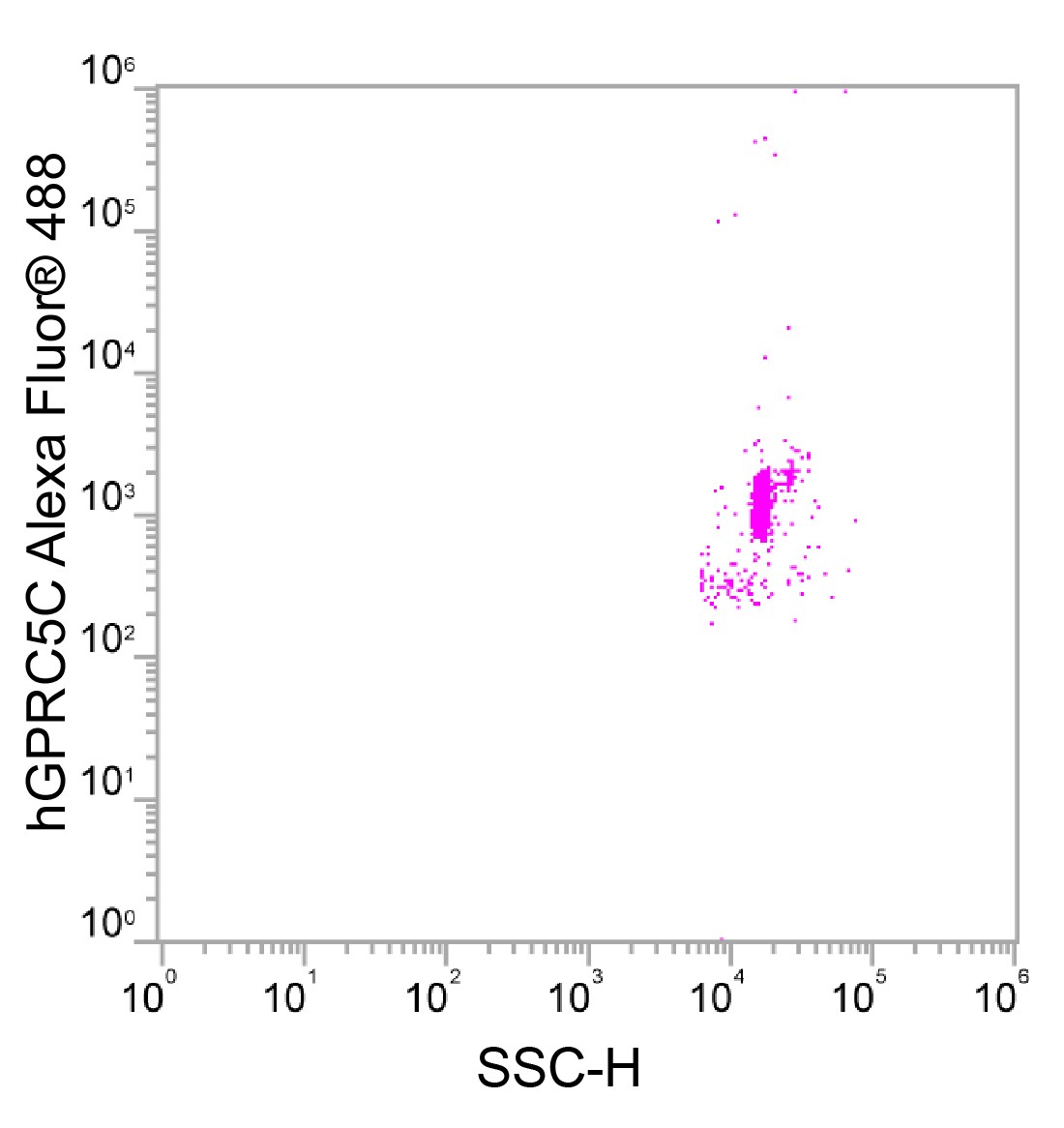 Human GPRC5C Alexa Fluor® 488-conjugated Antibody FAB6594G