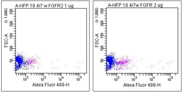Human FGFR2 Alexa Fluor® 488-conjugated Antibody FAB6843G