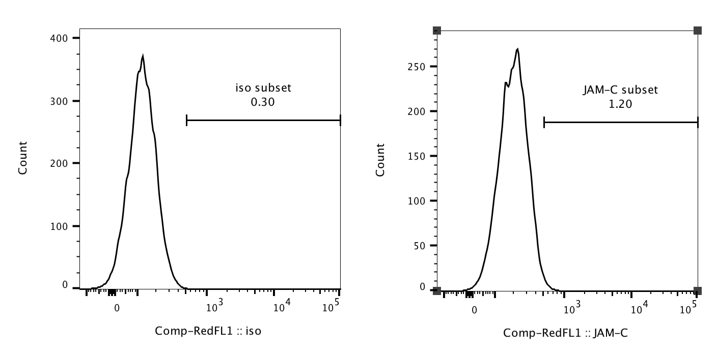 Mouse JAM‑C (CD323) APC‑conjugated Antibody FAB7050A