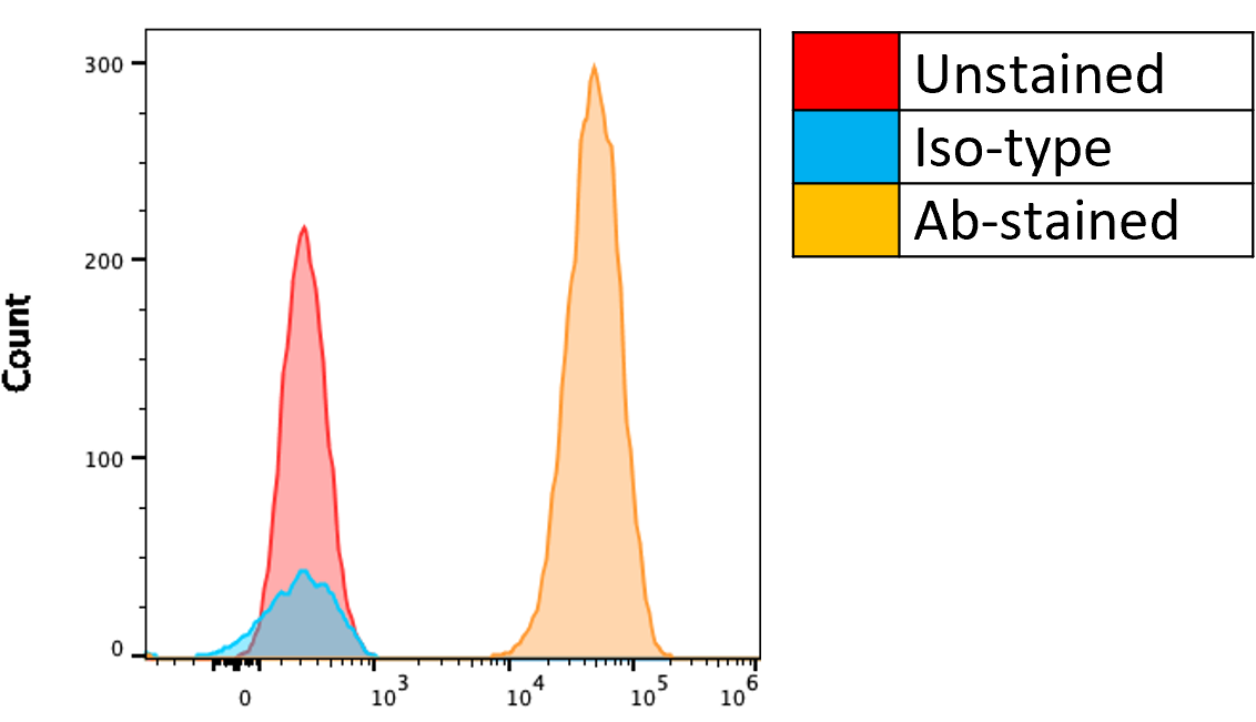 Human HLA Class I PE‑conjugated Antibody FAB7098P