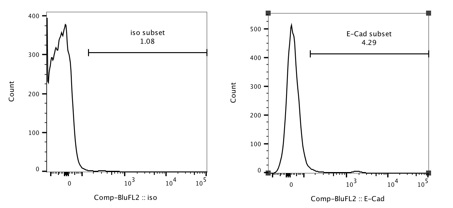 Mouse E‑Cadherin PE‑conjugated Antibody FAB7481P