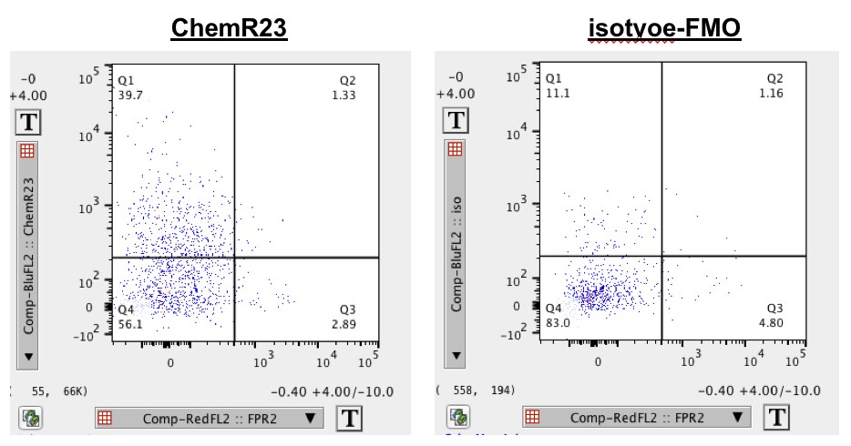 Mouse ChemR23 PE‑conjugated Antibody FAB7610P