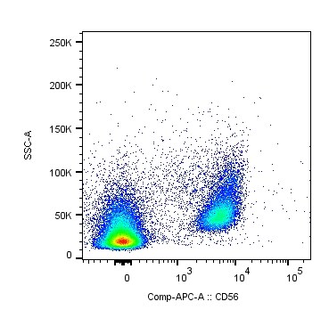 Mouse NCAM‑1/CD56 APC‑conjugated Antibody FAB7820A