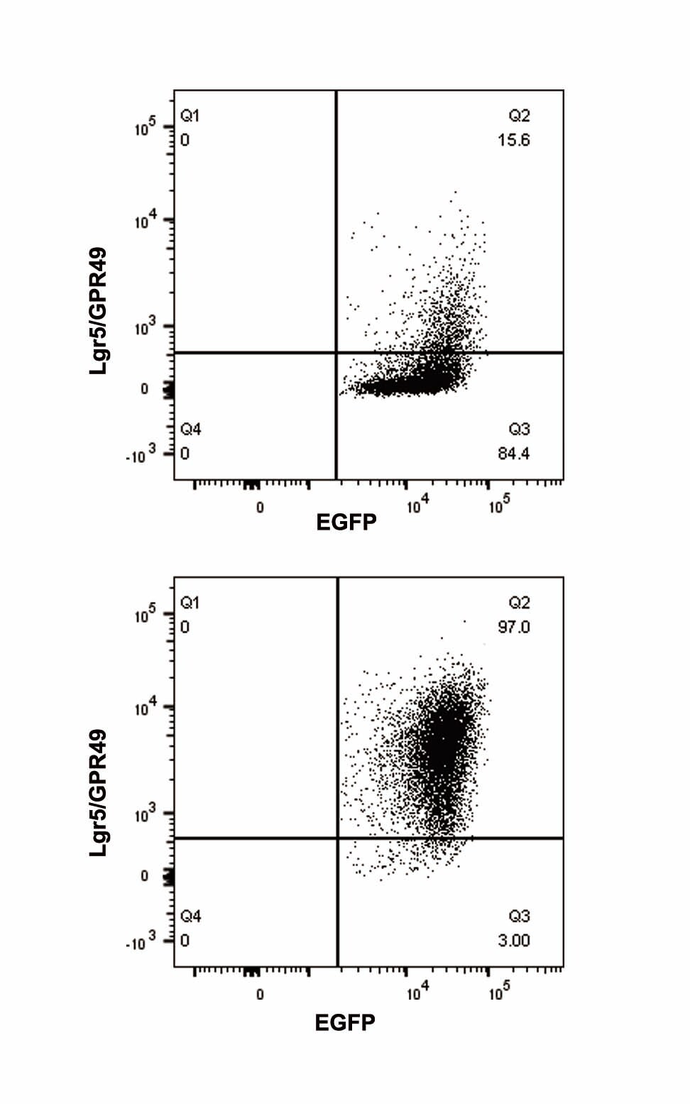 Mouse Lgr5/GPR49 APC‑conjugated Antibody FAB82401A