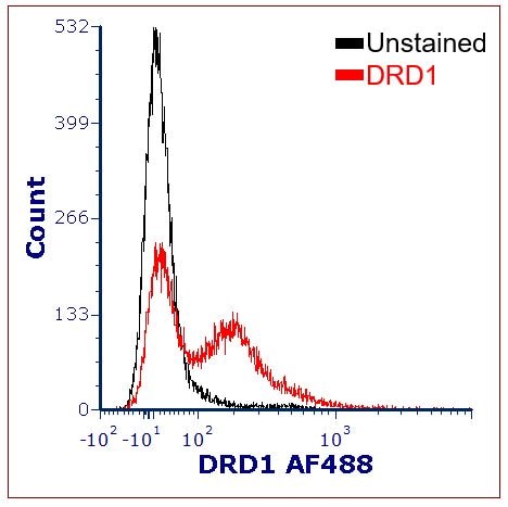 Human Dopamine D1R/DRD1 Alexa Fluor® 488-conjugated Antibody FAB8276G