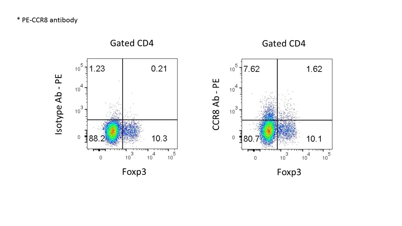 Mouse CCR8 PE‑conjugated Antibody FAB8324P