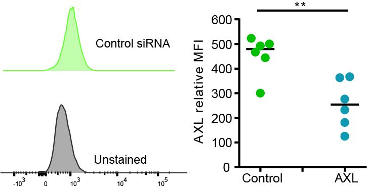 Mouse Axl PE‑conjugated Antibody FAB8541P