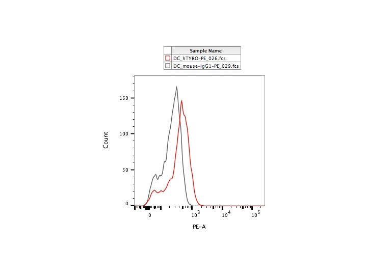 Human Tyro3/Dtk PE‑conjugated Antibody FAB859P