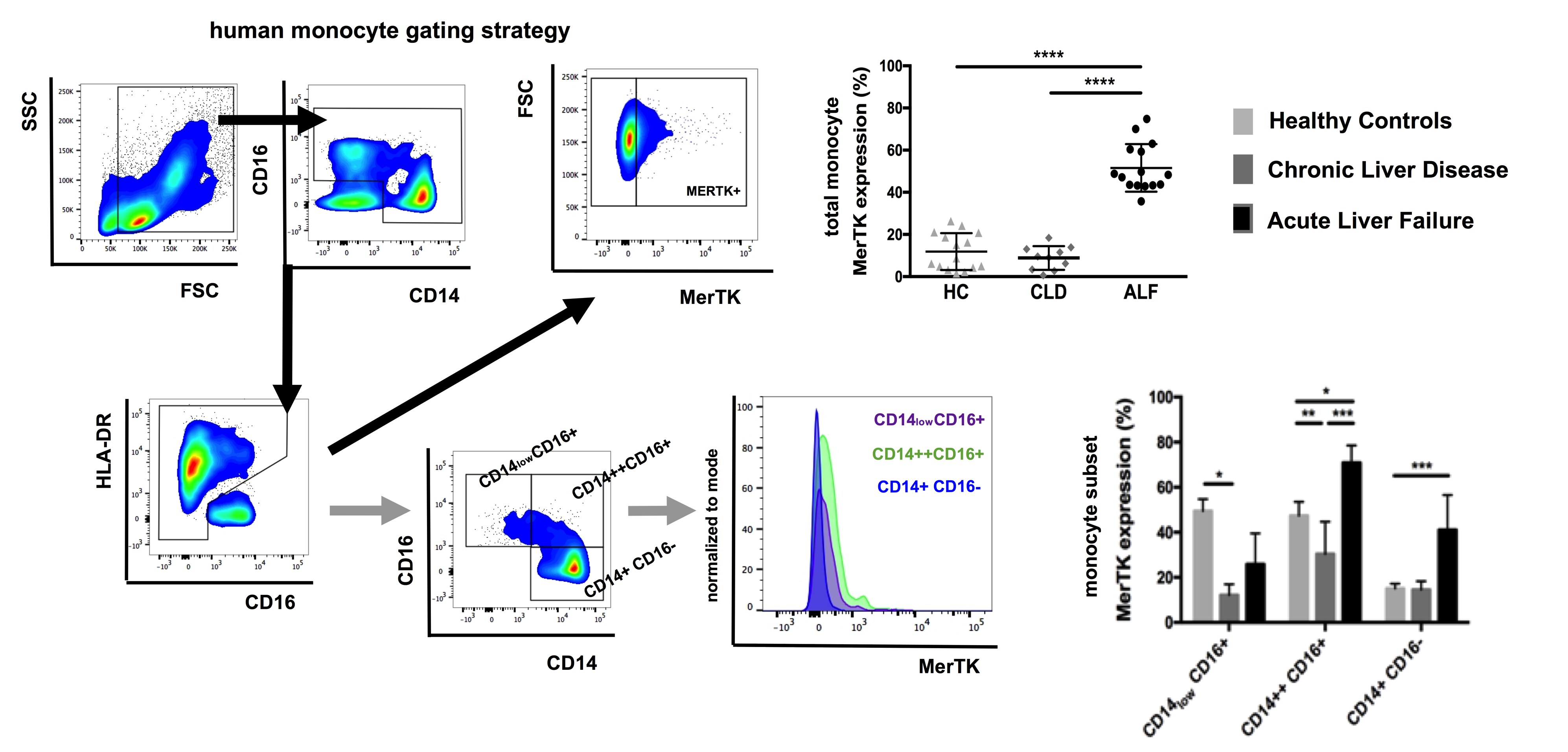 Human Mer APC‑conjugated Antibody FAB8912A