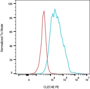 CLEC4E Antibody (2455C) [PE] FAB8995P