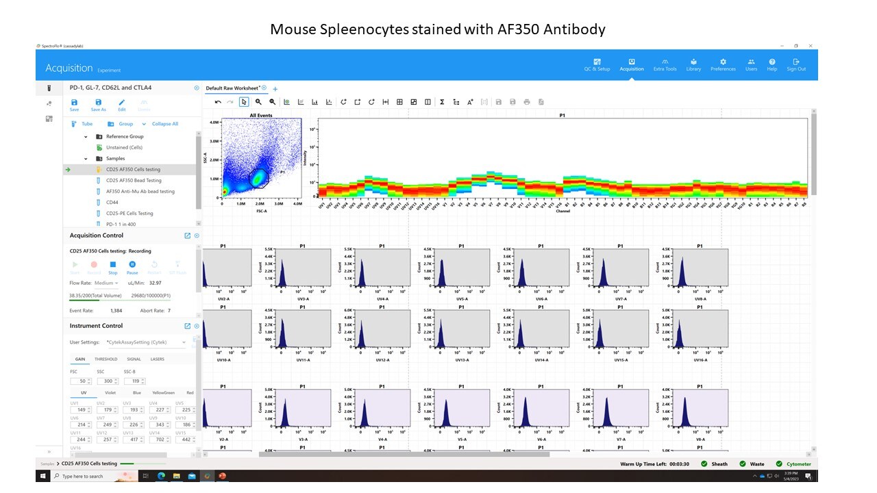 Mouse CD25/IL-2R alpha  Alexa Fluor® 350-conjugated Antibody FAB9164U