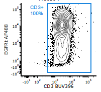 Human EGFR (Research Grade Cetuximab Biosimilar) Alexa Fluor® 488‑conjugated Antibody FAB9577G