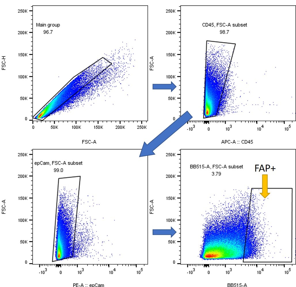 Mouse Fibroblast Activation Protein  alpha /FAP Alexa Fluor® 488‑conjugated Antibody FAB9727G