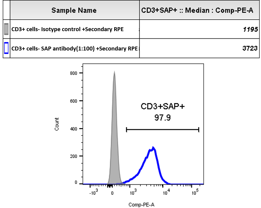 SH2D1A Antibody (1C9) - Azide and BSA Free H00004068-M01
