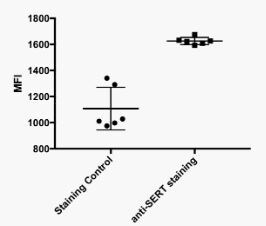 SLC6A4/5-HTTLPR/Serotonin transporter Antibody - Azide and BSA Free H00006532-D01P