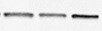 PHACTR2 Antibody (1B12) - Azide and BSA Free H00009749-M10