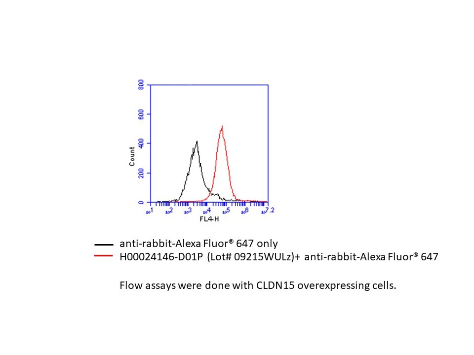 Claudin-15 Antibody - Azide and BSA Free H00024146-D01P