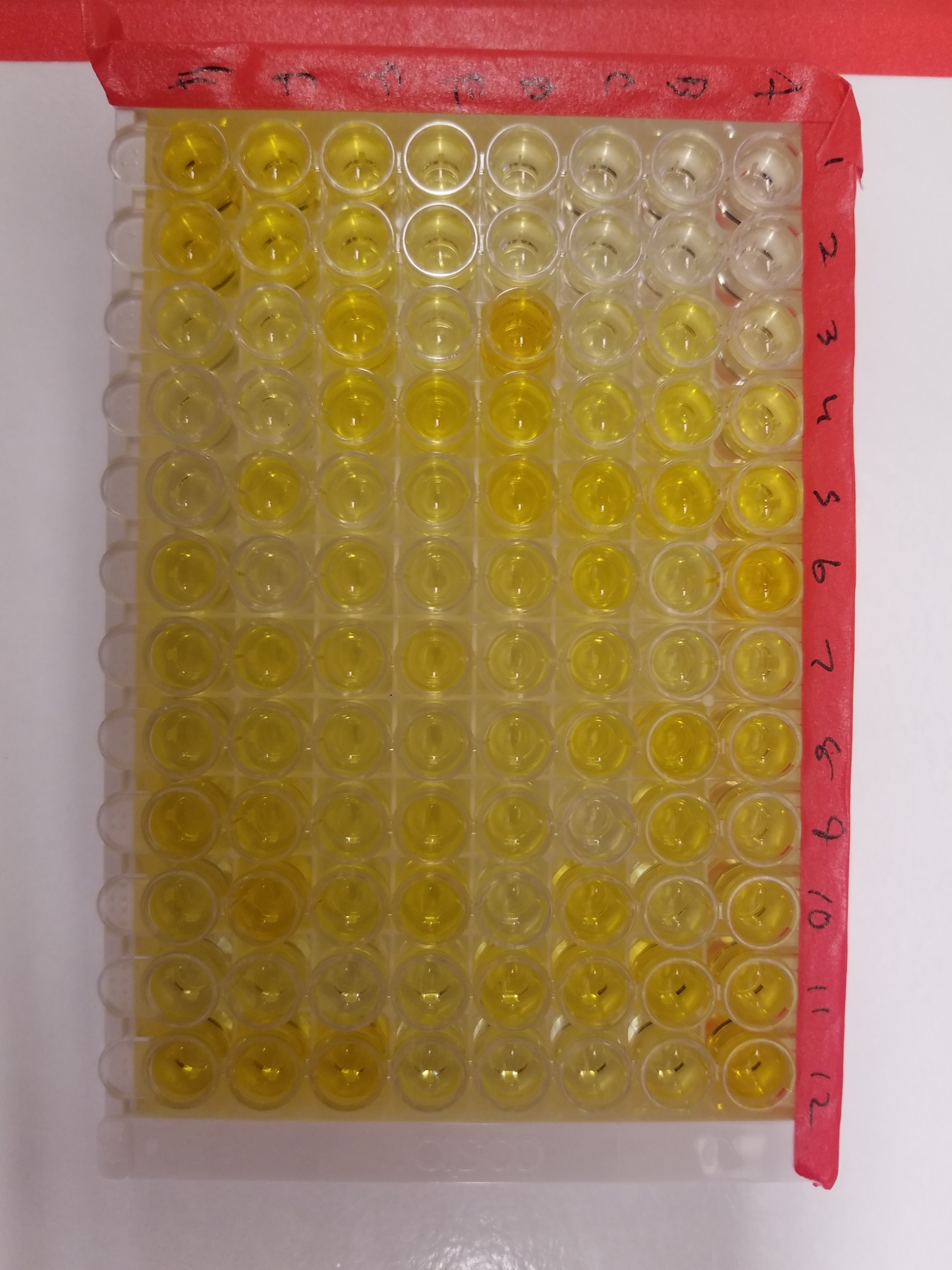 Human IL-6 Quantikine HS ELISA HS600C