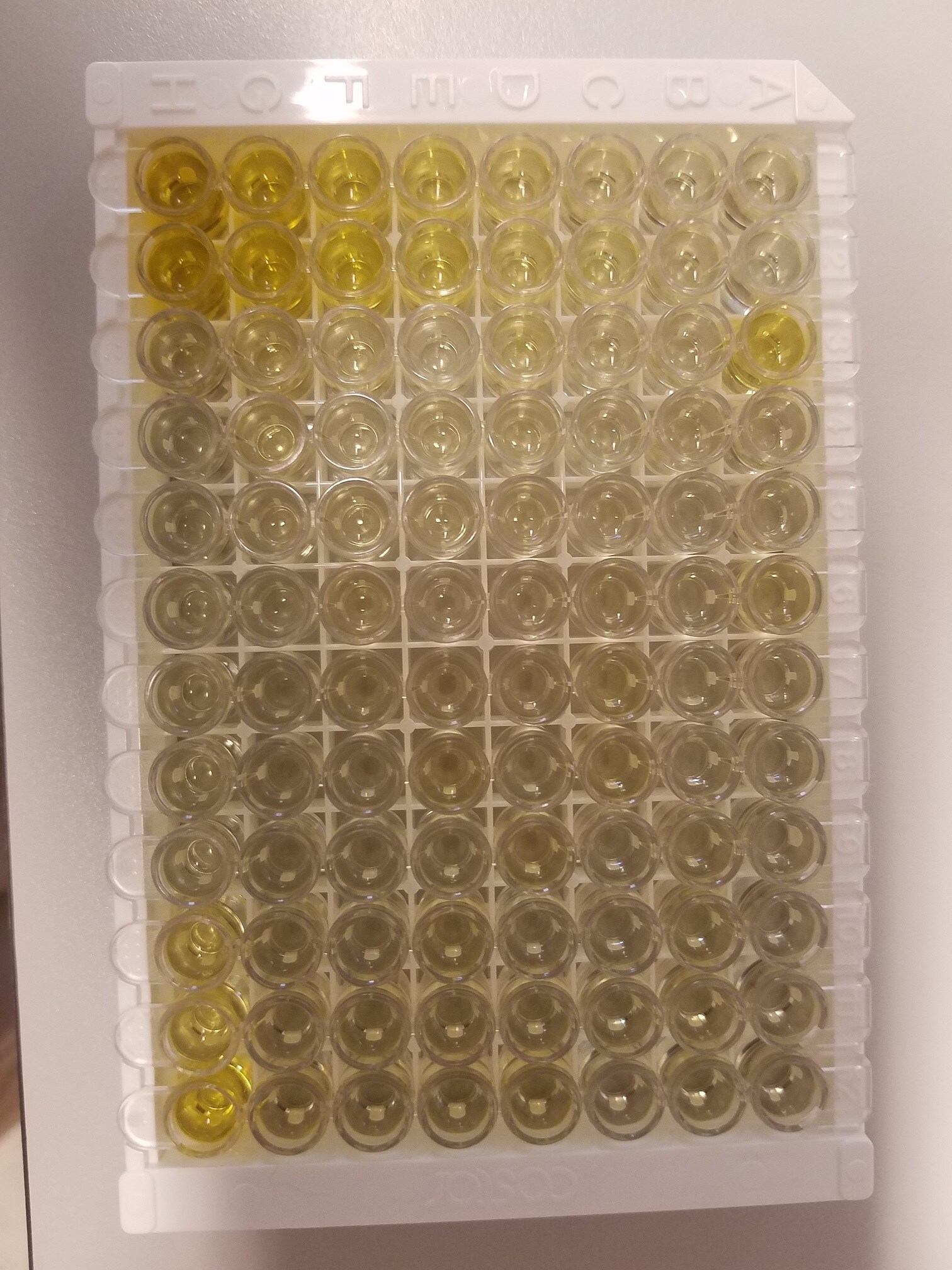 Human IL-1 beta/IL-1F2 Quantikine HS ELISA Kit HSLB00D