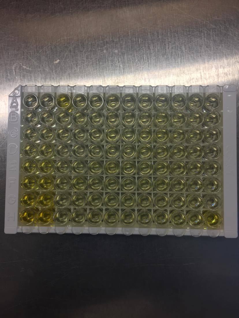 Human IL-1 beta/IL-1F2 Quantikine HS ELISA Kit HSLB00D