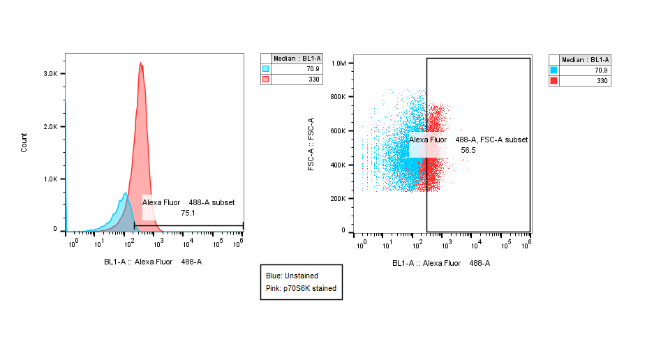 Mouse IgG1 Alexa Fluor® 488‑conjugated Antibody IC002G