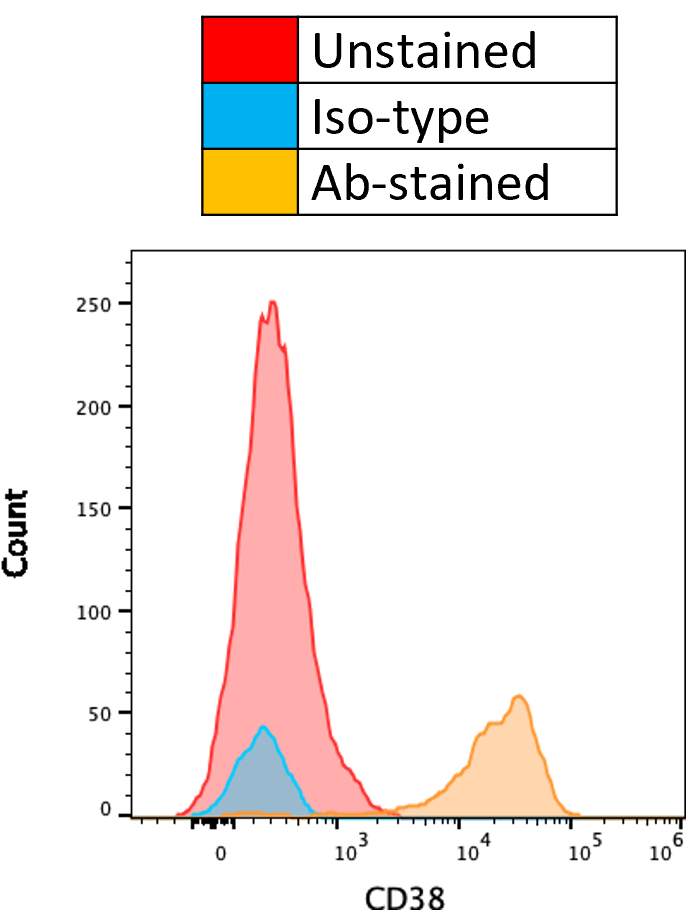 Mouse IgG1 Alexa Fluor® 488‑conjugated Antibody IC002G