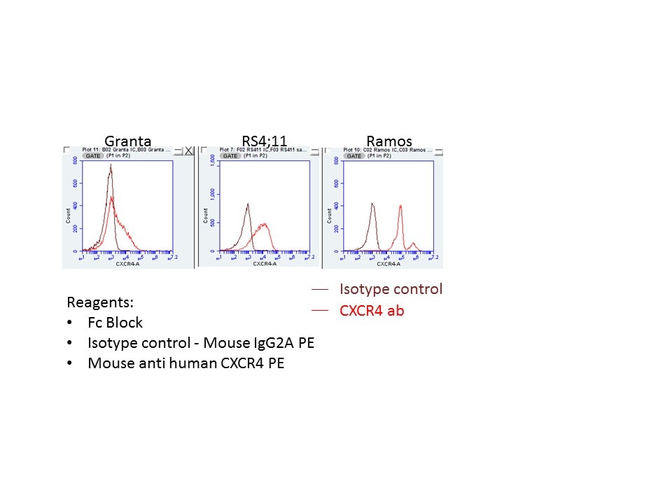 Mouse IgG2A PE-conjugated Antibody IC003P