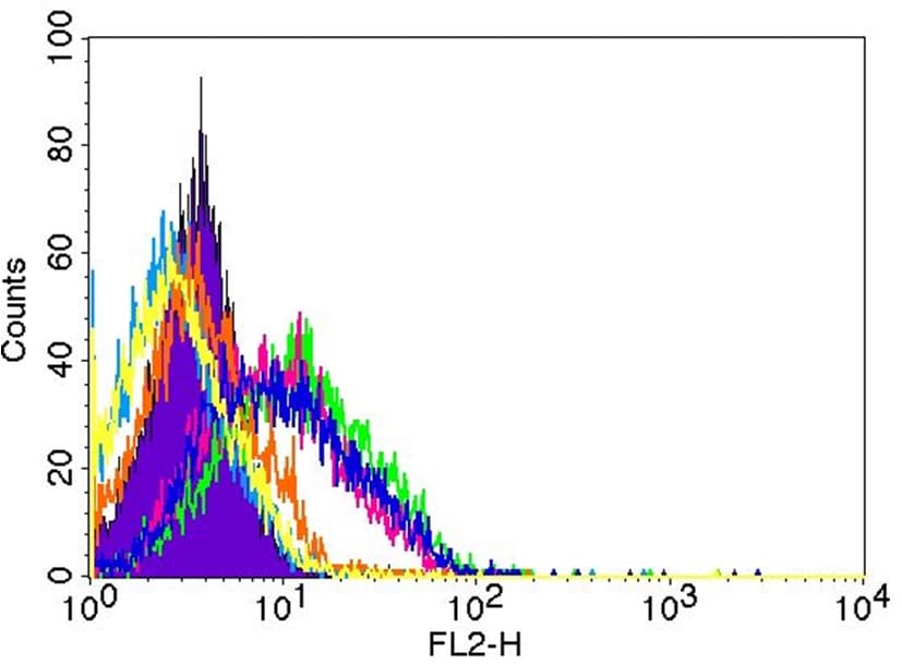 Mouse IgG2A PE-conjugated Antibody IC003P