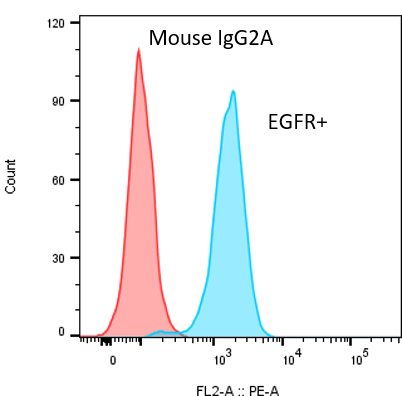 Mouse IgG2A PE-conjugated Antibody IC003P