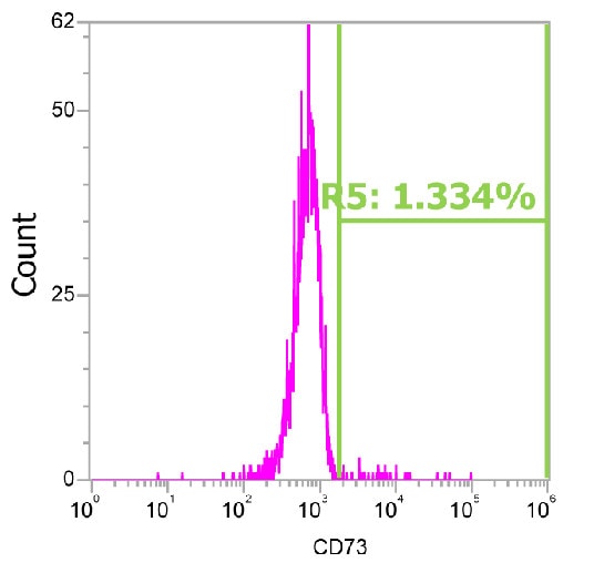 Mouse IgG2B Alexa Fluor® 488-conjugated Isotype Control IC0041G