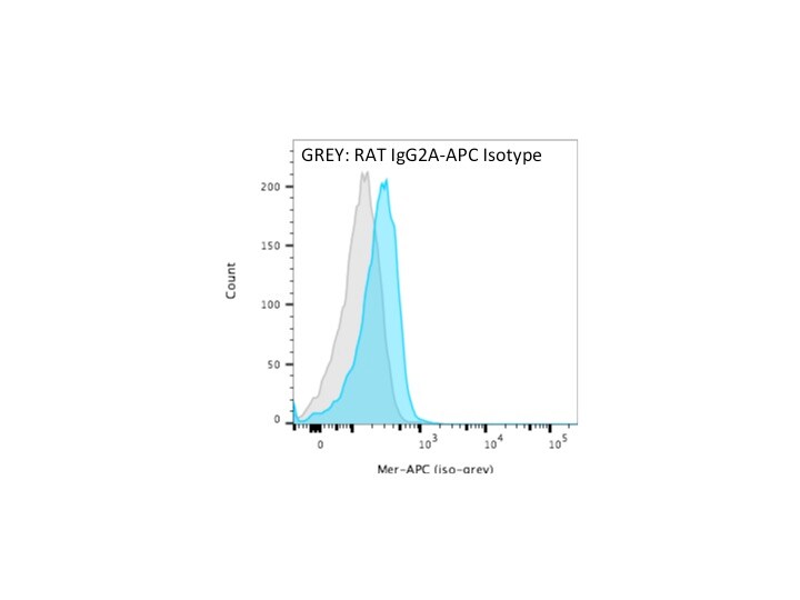 Rat IgG2A Allophycocyanin Isotype Control IC006A