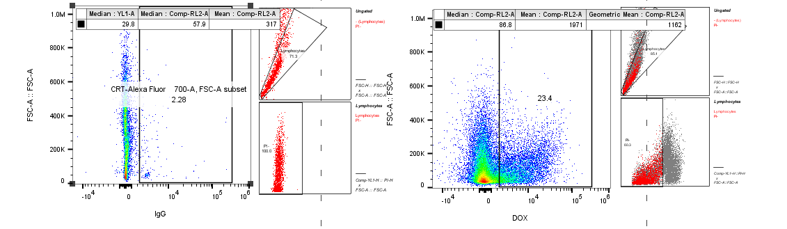 Rat IgG2A Alexa Fluor® 488‑conjugated Isotype Control IC006G