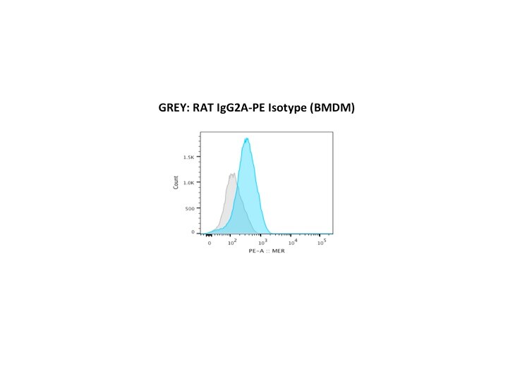 Rat IgG2A PE-conjugated Antibody IC006P