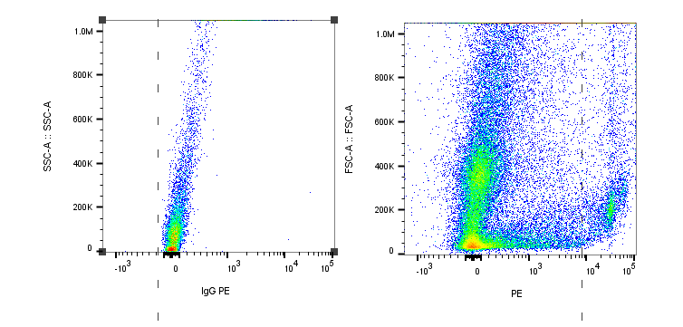 Rat IgG2A PE-conjugated Antibody IC006P