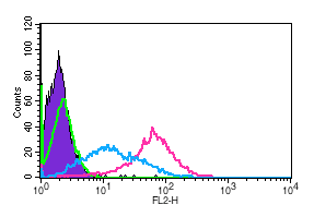 His Tag PE‑conjugated Antibody IC050P