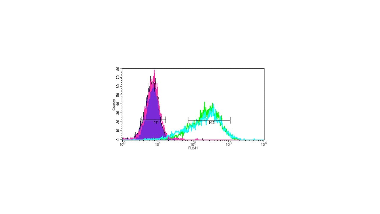 His Tag PE‑conjugated Antibody IC050P